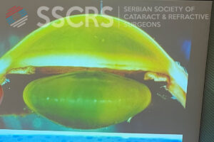 Webinar 10.03.2022. godine